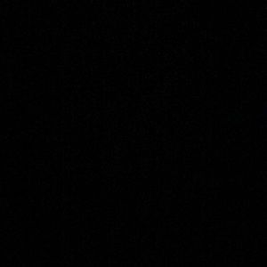 Meet your Posher, Tyra